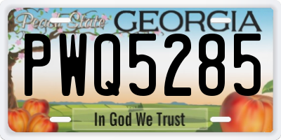 GA license plate PWQ5285