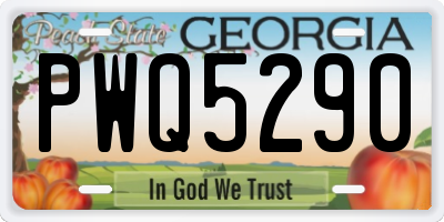 GA license plate PWQ5290