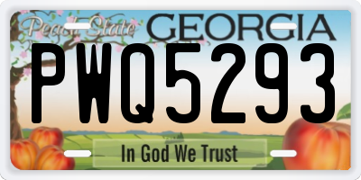 GA license plate PWQ5293