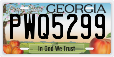 GA license plate PWQ5299