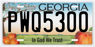 GA license plate PWQ5300