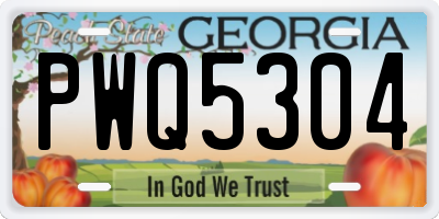 GA license plate PWQ5304