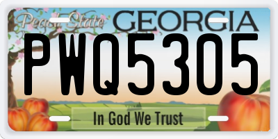 GA license plate PWQ5305