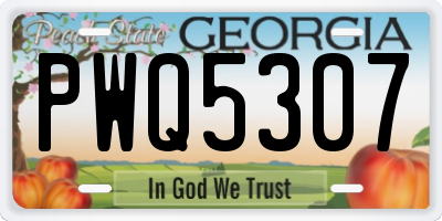 GA license plate PWQ5307