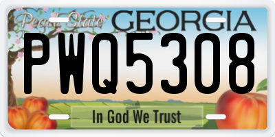 GA license plate PWQ5308