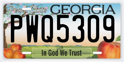 GA license plate PWQ5309