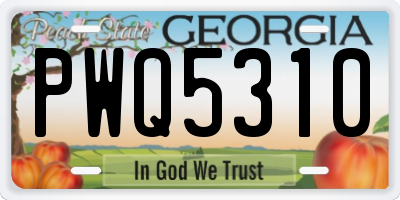 GA license plate PWQ5310