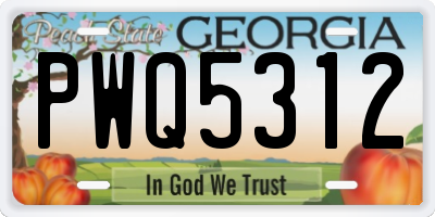 GA license plate PWQ5312