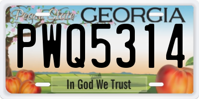 GA license plate PWQ5314