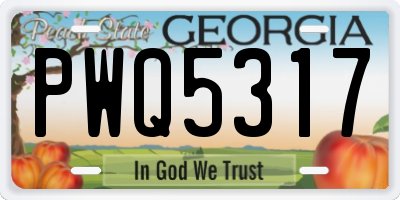 GA license plate PWQ5317