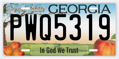GA license plate PWQ5319