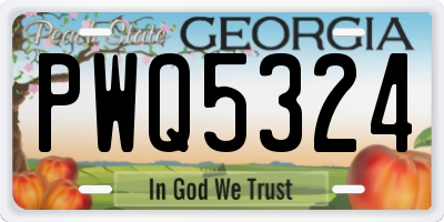 GA license plate PWQ5324
