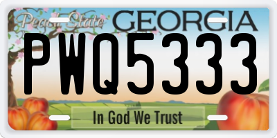 GA license plate PWQ5333
