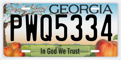 GA license plate PWQ5334