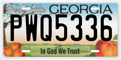 GA license plate PWQ5336