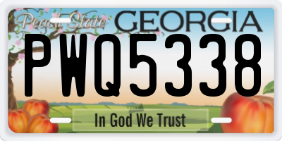 GA license plate PWQ5338