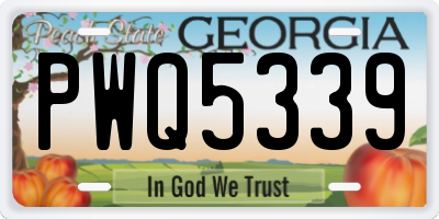 GA license plate PWQ5339