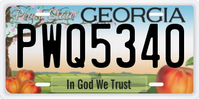GA license plate PWQ5340