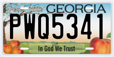 GA license plate PWQ5341