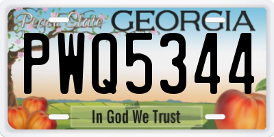 GA license plate PWQ5344
