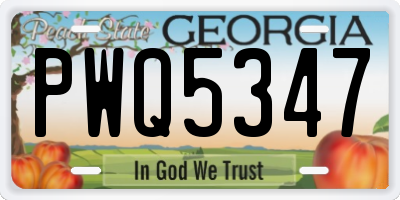 GA license plate PWQ5347