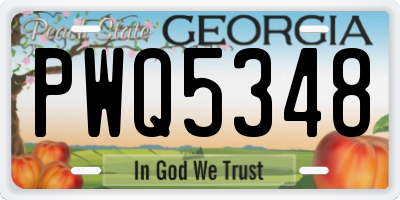 GA license plate PWQ5348