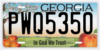 GA license plate PWQ5350