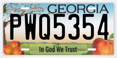 GA license plate PWQ5354