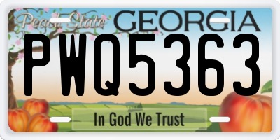 GA license plate PWQ5363