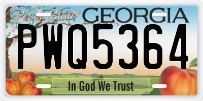 GA license plate PWQ5364