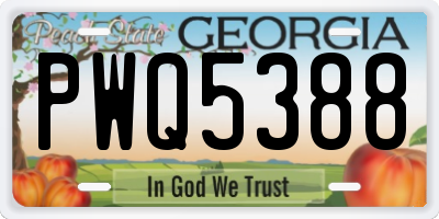 GA license plate PWQ5388
