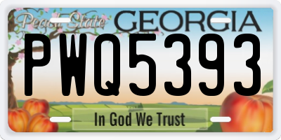 GA license plate PWQ5393