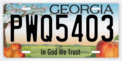 GA license plate PWQ5403