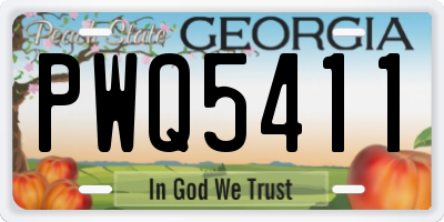 GA license plate PWQ5411