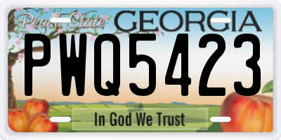 GA license plate PWQ5423