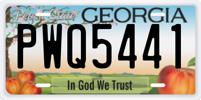 GA license plate PWQ5441