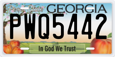 GA license plate PWQ5442