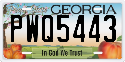 GA license plate PWQ5443