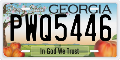 GA license plate PWQ5446