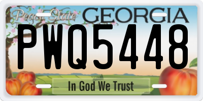 GA license plate PWQ5448