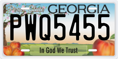 GA license plate PWQ5455