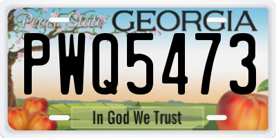 GA license plate PWQ5473