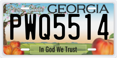 GA license plate PWQ5514