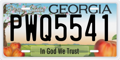 GA license plate PWQ5541