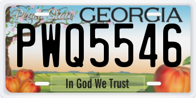 GA license plate PWQ5546