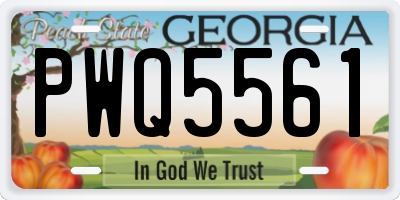 GA license plate PWQ5561