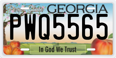 GA license plate PWQ5565