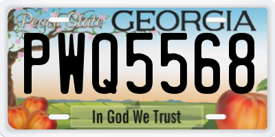 GA license plate PWQ5568