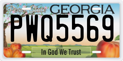 GA license plate PWQ5569