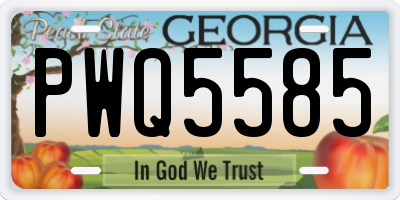 GA license plate PWQ5585